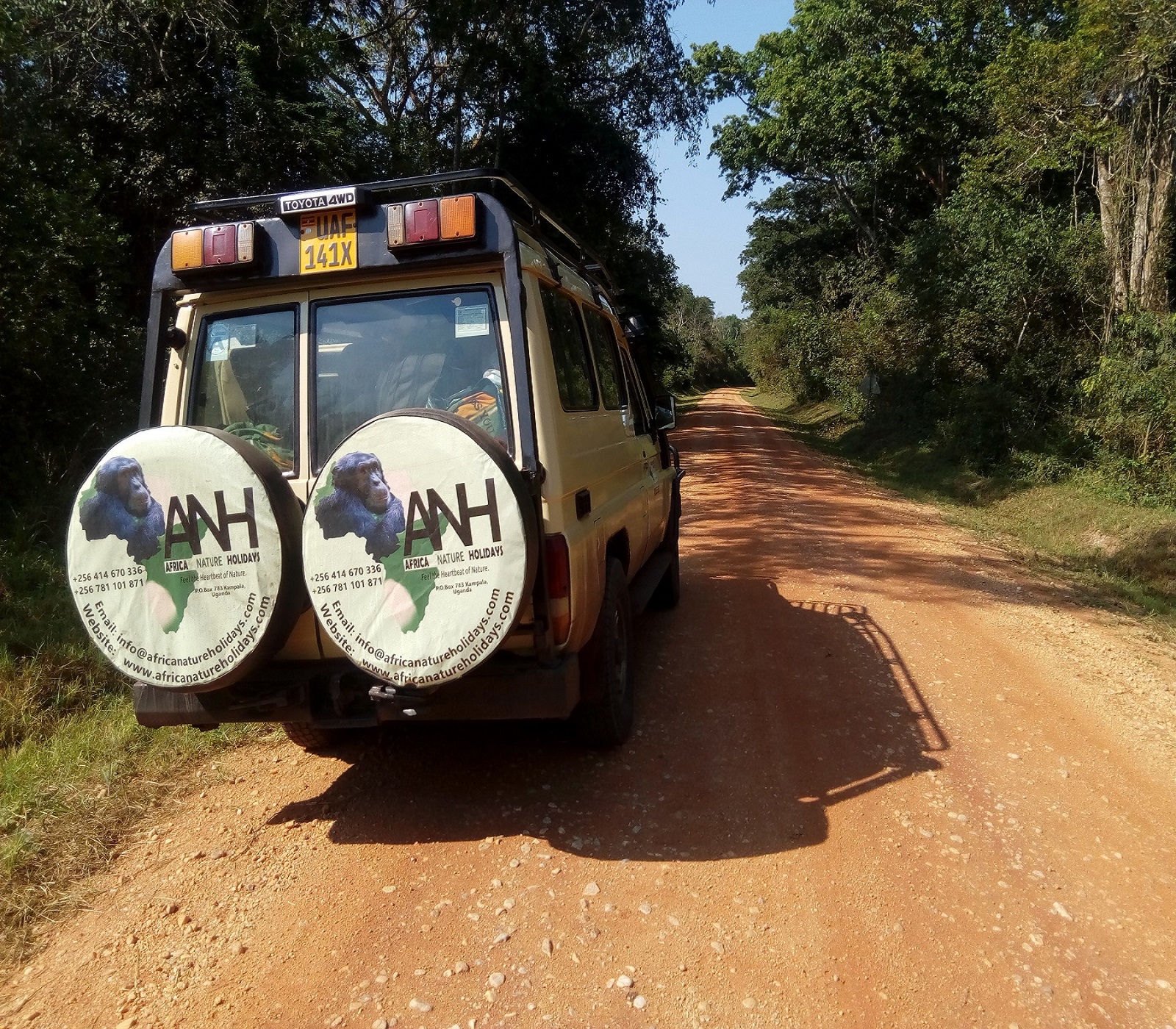 Safari car
